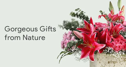 Gifts from nature